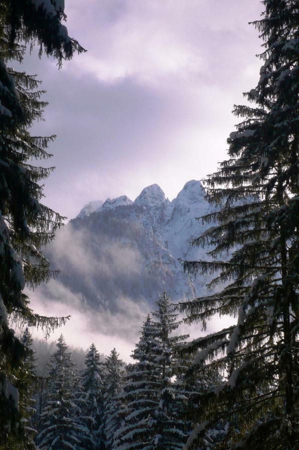 Mountain Loft Tarvisio Exterior foto